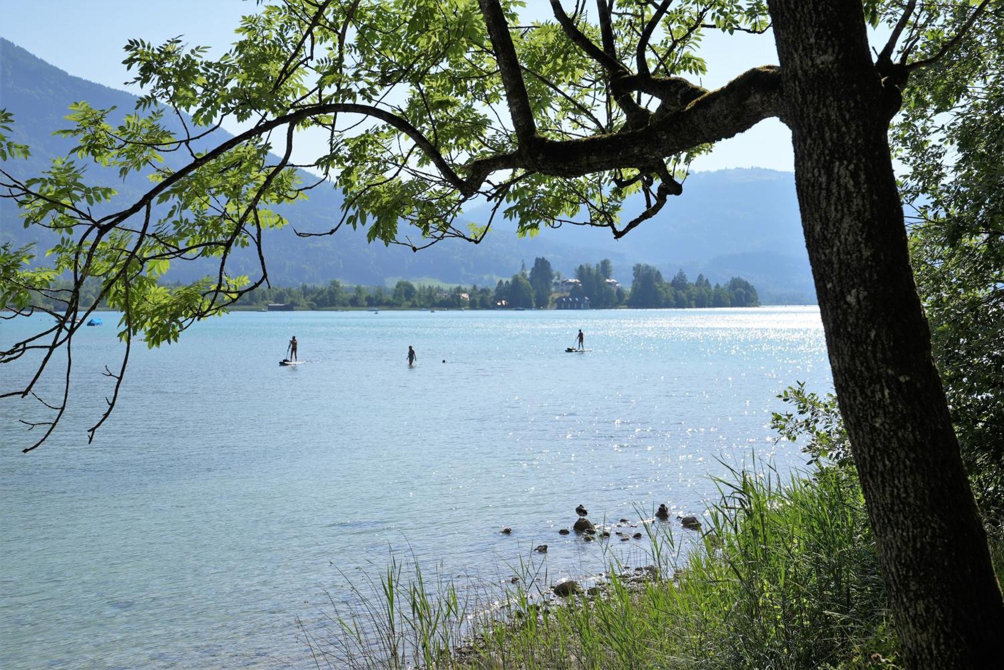 Bergblick 411 Am Wolfgangsee 施特罗布尔 客房 照片