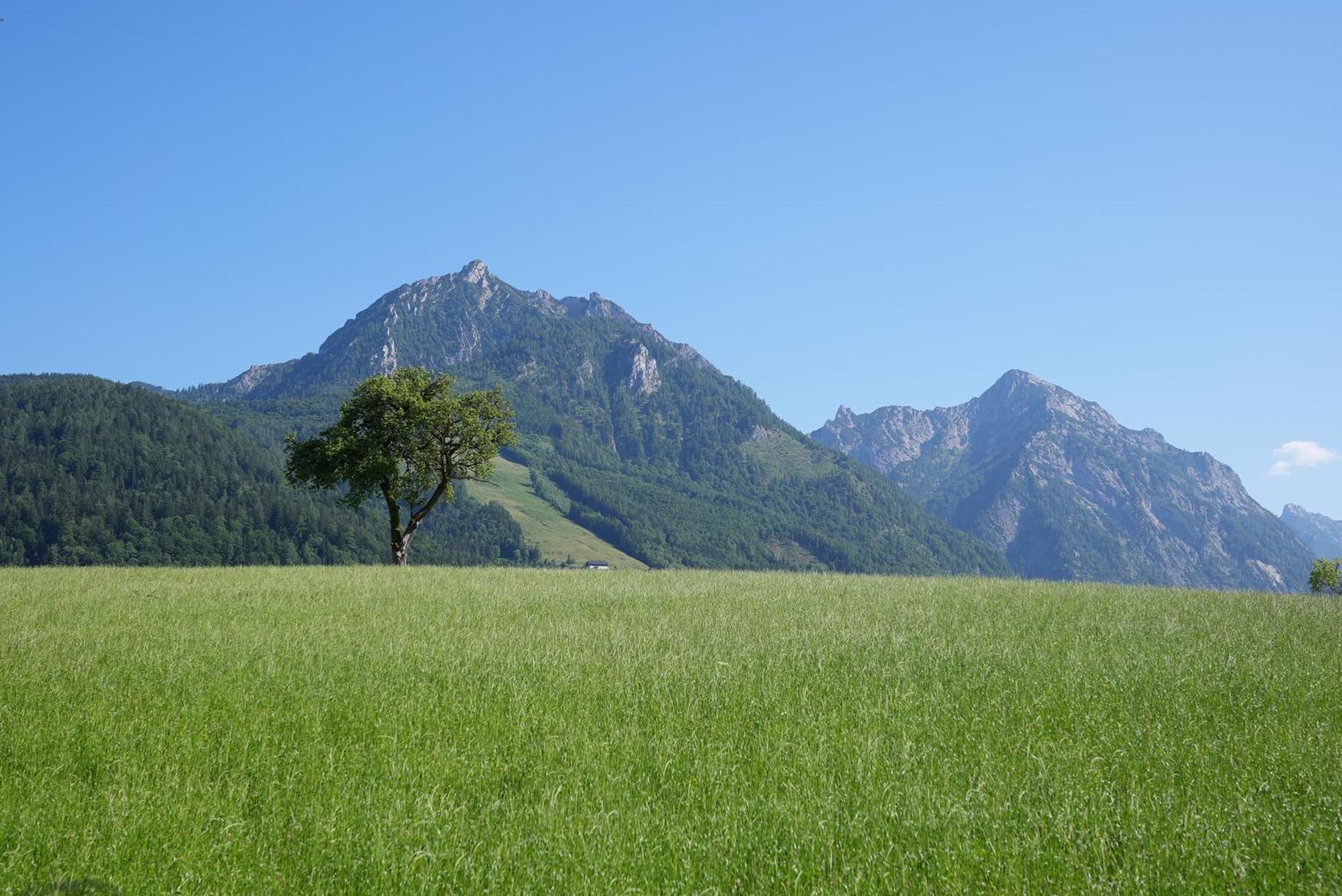 Bergblick 411 Am Wolfgangsee 施特罗布尔 客房 照片