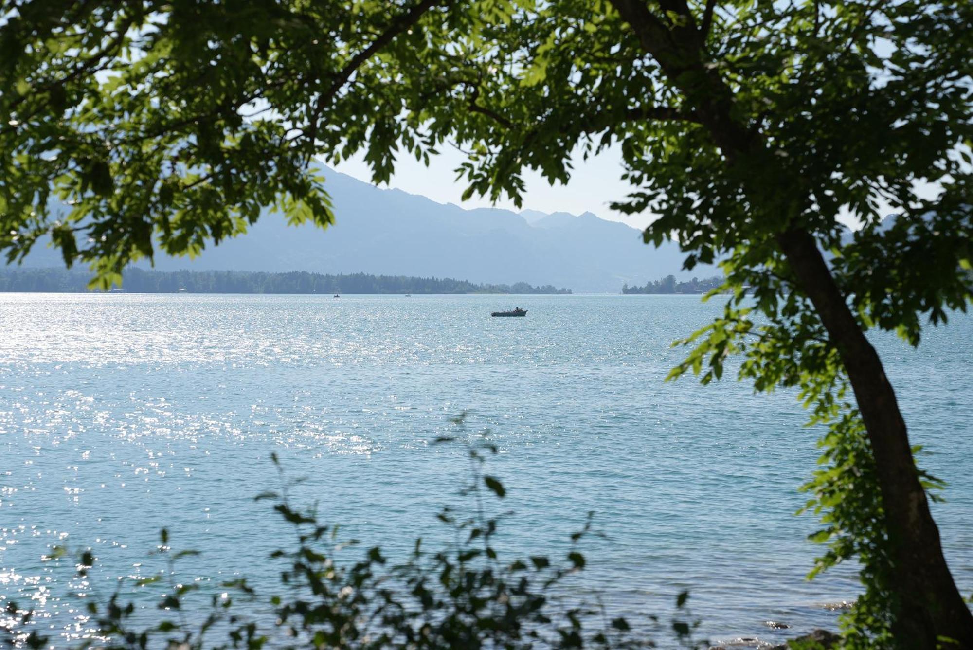 Bergblick 411 Am Wolfgangsee 施特罗布尔 客房 照片