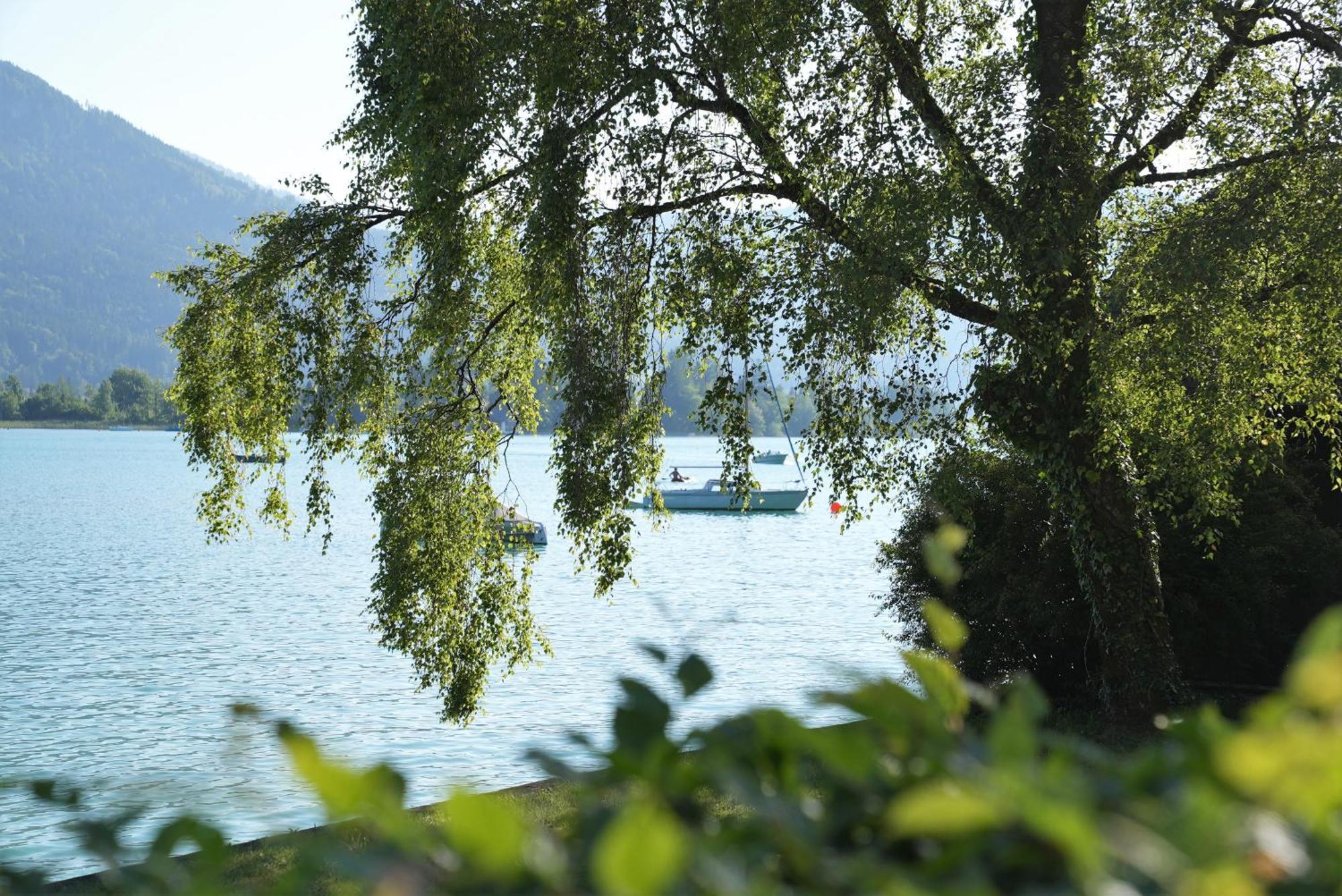 Bergblick 411 Am Wolfgangsee 施特罗布尔 外观 照片